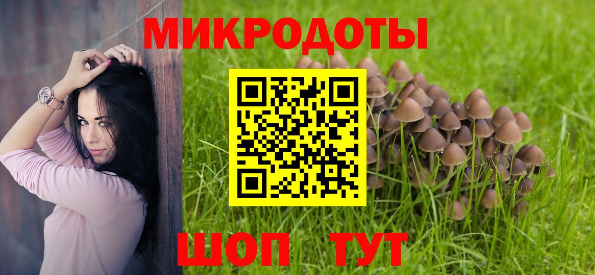 Псилоцибиновые грибы Cubensis  Вход с VPN  Псилоцибиновые грибы Psilocybine cubensis  Новодвинск 
