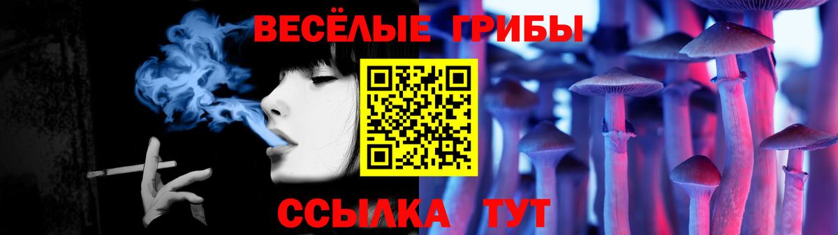 Галлюциногенные грибы мухоморы Новодвинск